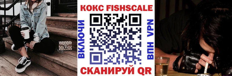 Кокаин FishScale  Купить  Чудово 