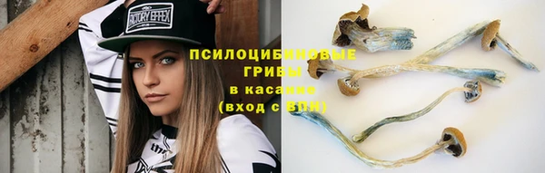 круглые Алексеевка
